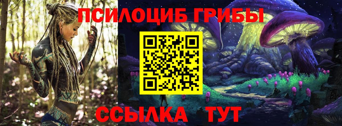Галлюциногенные грибы Magic Shrooms  Вход с VPN  Кимовск 