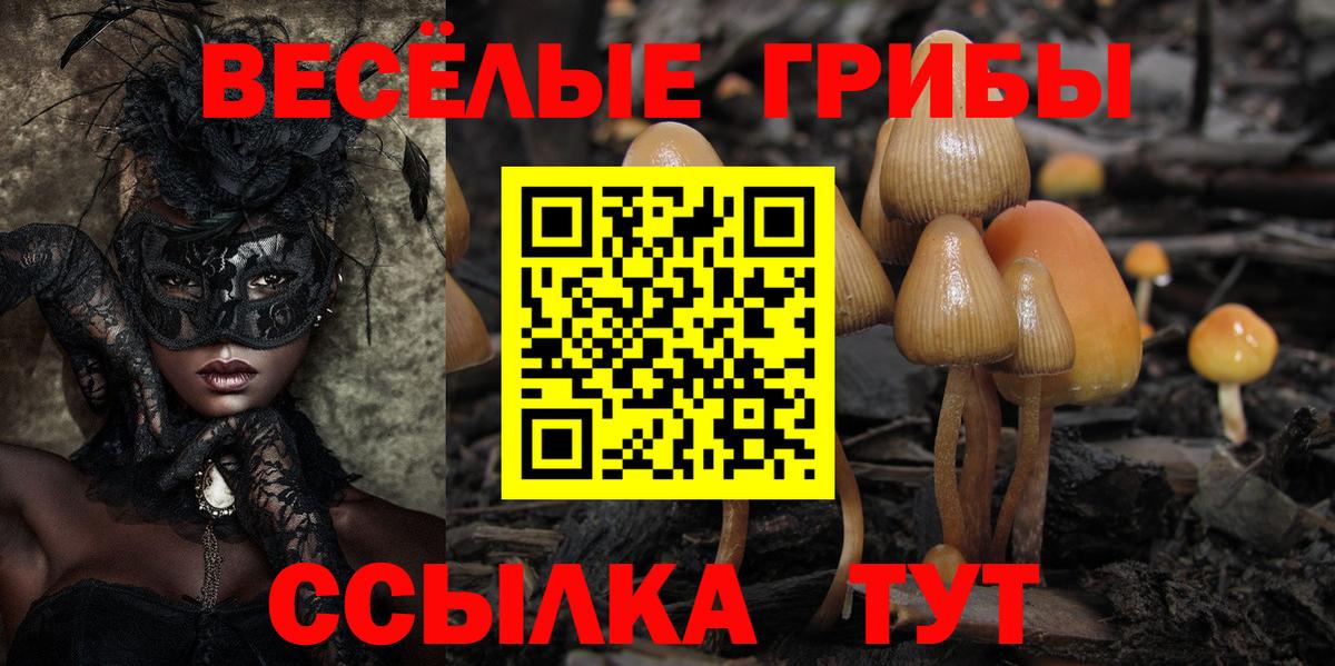 Галлюциногенные грибы Psilocybine cubensis Кимовск